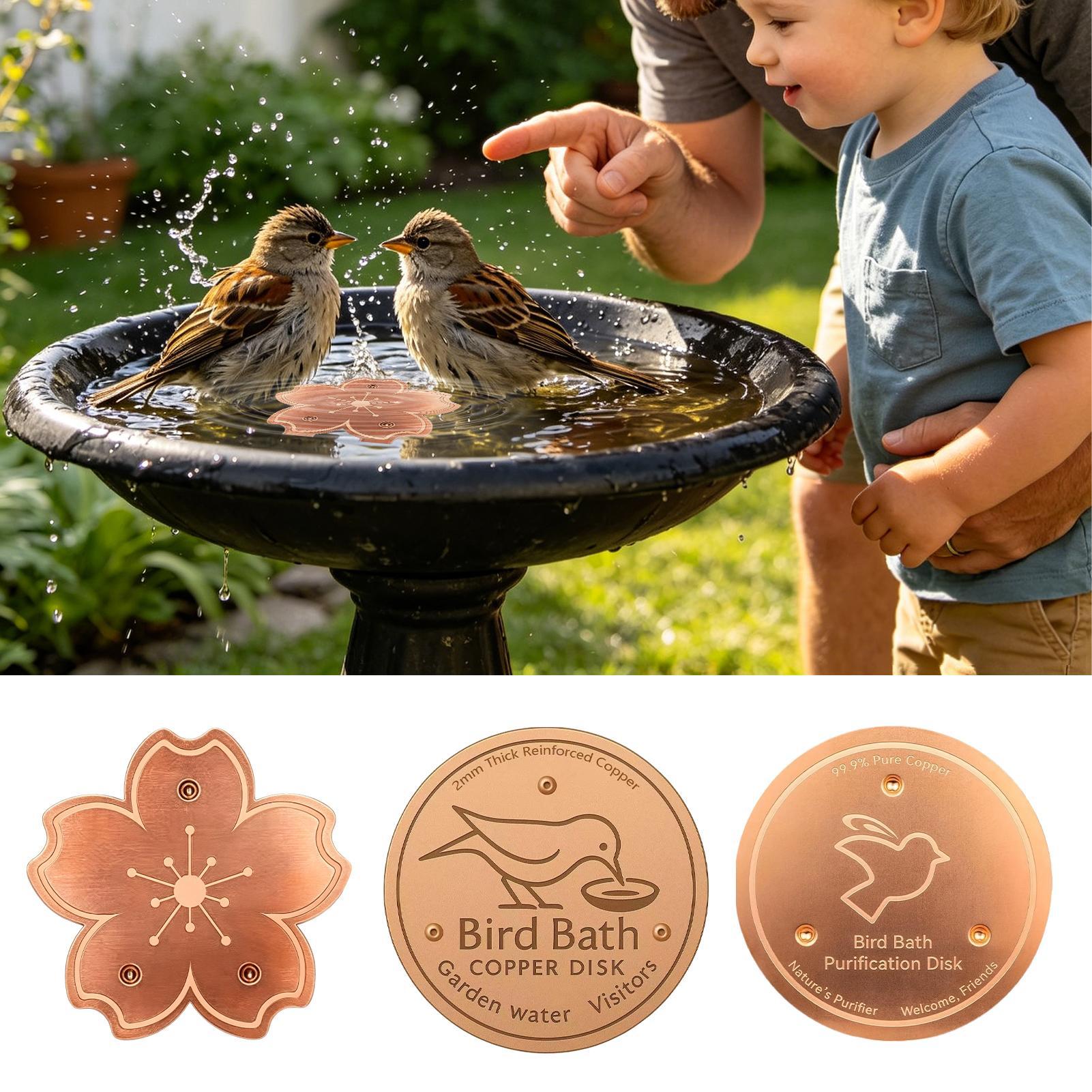 Copper For Bird Bath Safe Puri - đánh giá và giá Watches & Jewelry Tsukiu