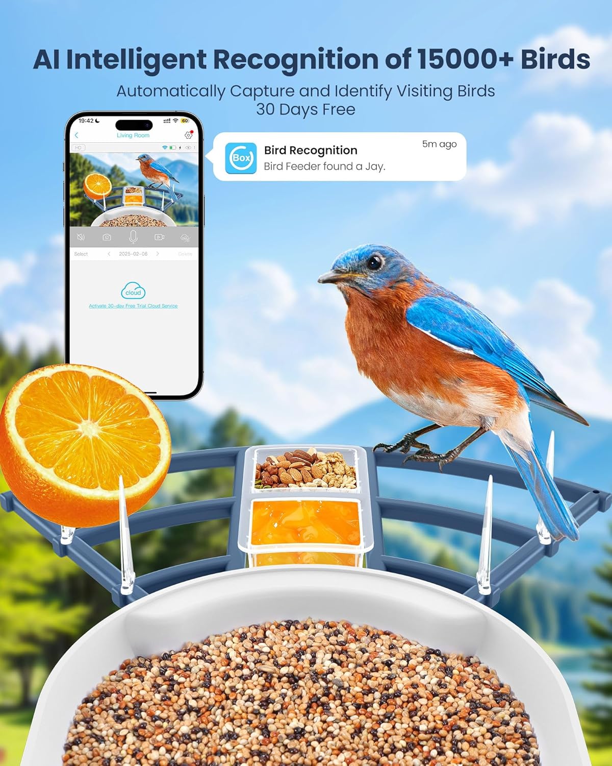 Smart Bird Feeder with Camera, - đánh giá và giá Watches & Jewelry Tsukiu