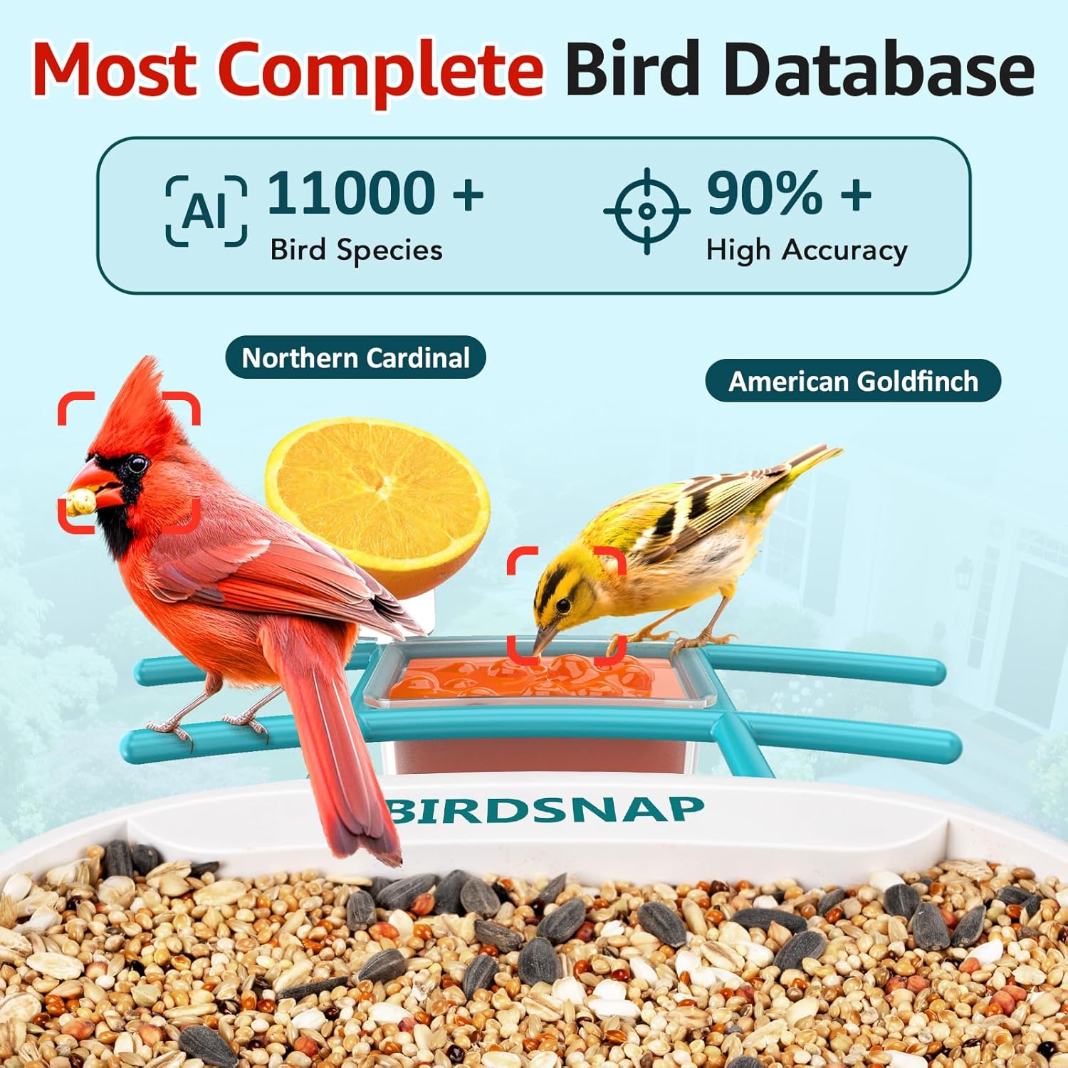 2K HD Bird Feeder Camera with  - đánh giá và giá Watches & Jewelry Tsukiu