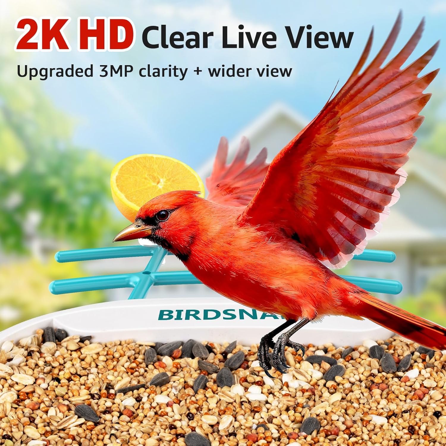 2K HD Bird Feeder Camera with  - đánh giá và giá Watches & Jewelry Tsukiu